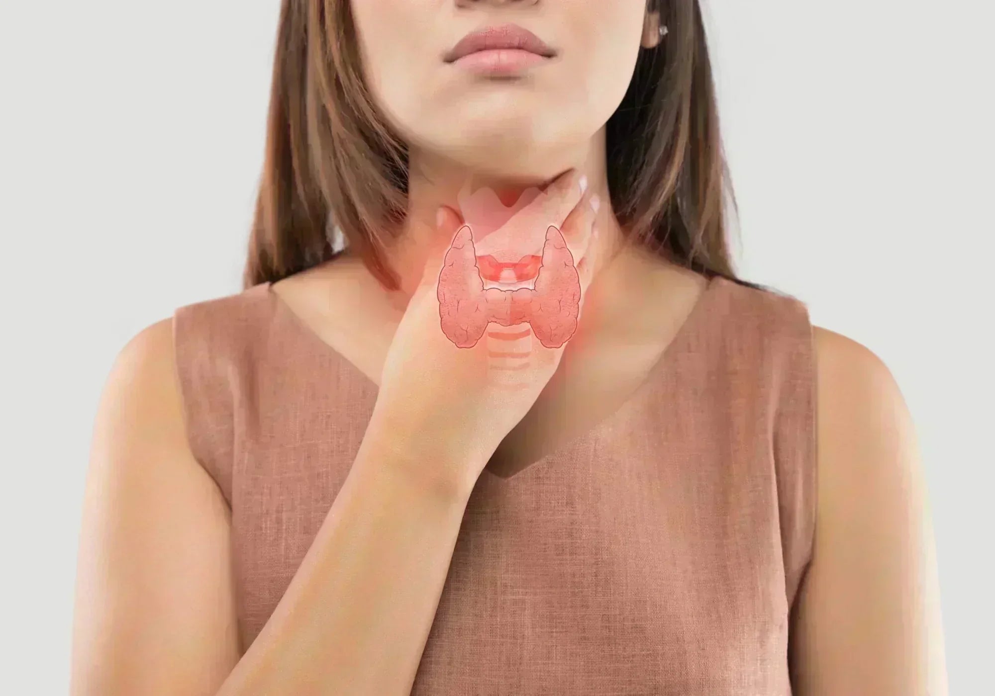 Л-карнитин и щитовидна жлеза - какви са ползите