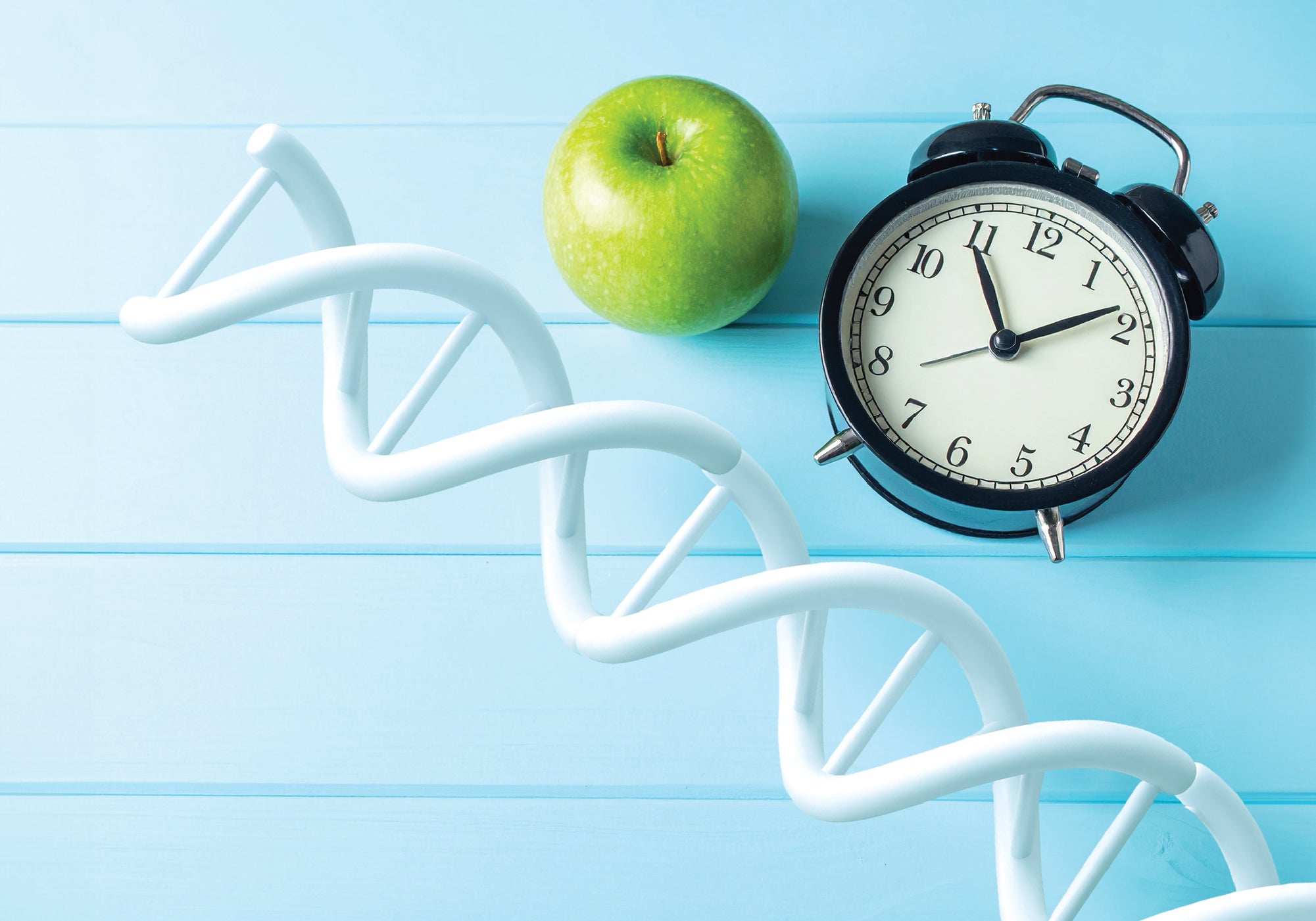 От какво зависи базовия метаболизъм